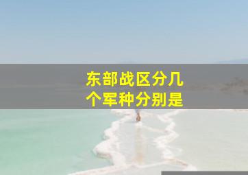 东部战区分几个军种分别是