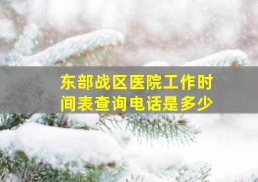 东部战区医院工作时间表查询电话是多少