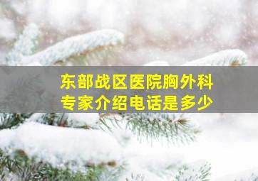 东部战区医院胸外科专家介绍电话是多少