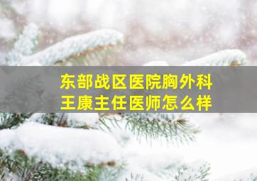 东部战区医院胸外科王康主任医师怎么样