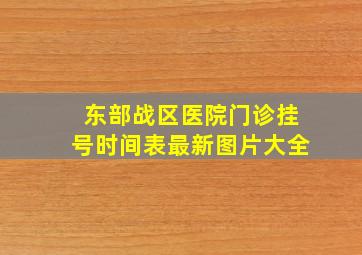 东部战区医院门诊挂号时间表最新图片大全