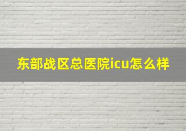 东部战区总医院icu怎么样