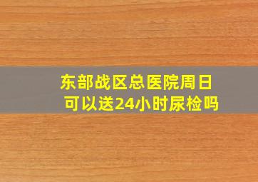 东部战区总医院周日可以送24小时尿检吗