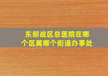 东部战区总医院在哪个区属哪个街道办事处