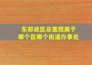 东部战区总医院属于哪个区哪个街道办事处