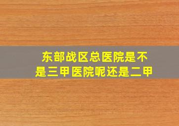 东部战区总医院是不是三甲医院呢还是二甲