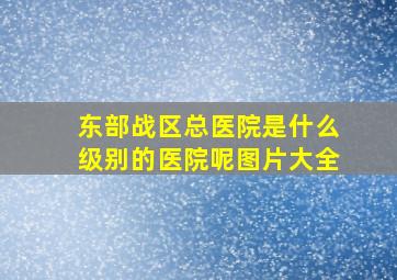 东部战区总医院是什么级别的医院呢图片大全