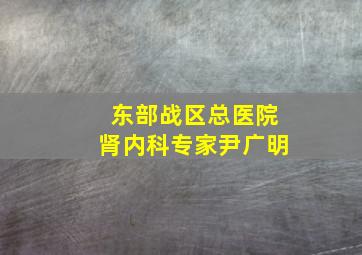 东部战区总医院肾内科专家尹广明