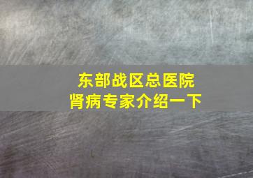 东部战区总医院肾病专家介绍一下