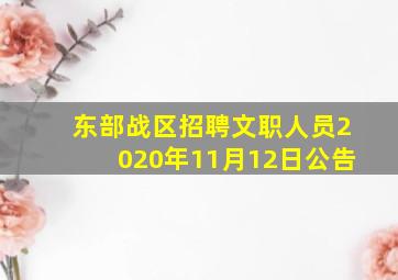 东部战区招聘文职人员2020年11月12日公告