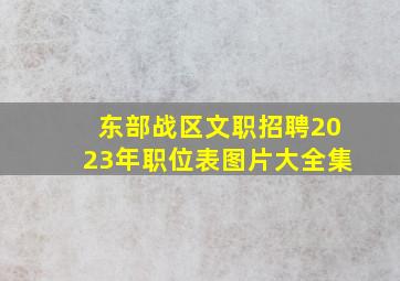 东部战区文职招聘2023年职位表图片大全集