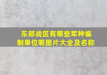 东部战区有哪些军种编制单位呢图片大全及名称