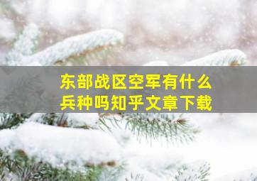 东部战区空军有什么兵种吗知乎文章下载