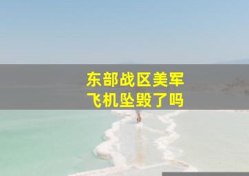 东部战区美军飞机坠毁了吗