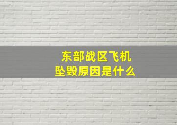 东部战区飞机坠毁原因是什么