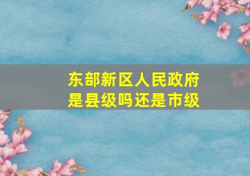 东部新区人民政府是县级吗还是市级