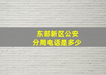 东部新区公安分局电话是多少