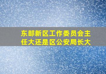 东部新区工作委员会主任大还是区公安局长大