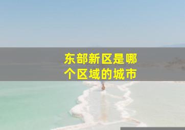 东部新区是哪个区域的城市