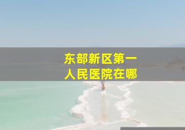 东部新区第一人民医院在哪