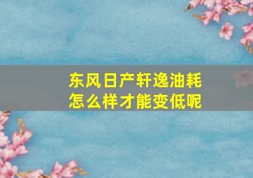 东风日产轩逸油耗怎么样才能变低呢