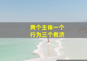 两个主体一个行为三个救济