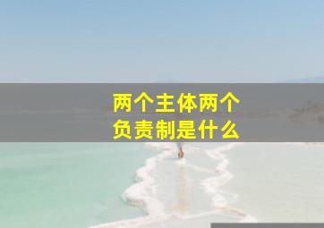 两个主体两个负责制是什么