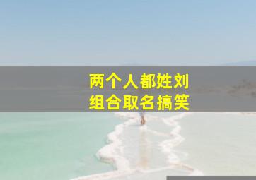 两个人都姓刘组合取名搞笑