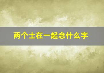 两个土在一起念什么字