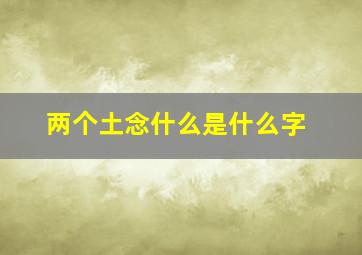 两个土念什么是什么字