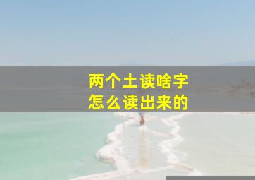 两个土读啥字怎么读出来的