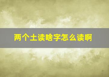 两个土读啥字怎么读啊