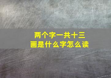 两个字一共十三画是什么字怎么读