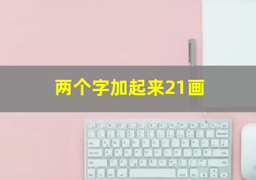 两个字加起来21画