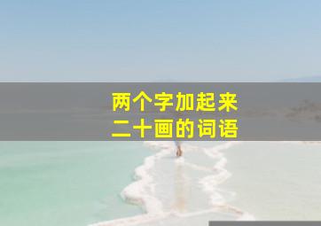 两个字加起来二十画的词语