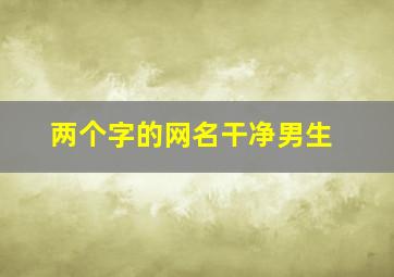 两个字的网名干净男生