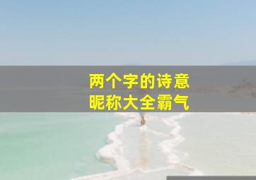 两个字的诗意昵称大全霸气