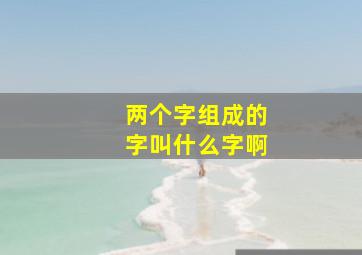 两个字组成的字叫什么字啊