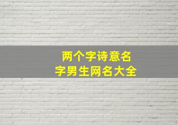 两个字诗意名字男生网名大全