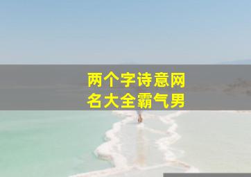 两个字诗意网名大全霸气男