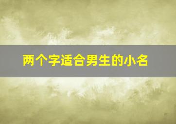 两个字适合男生的小名