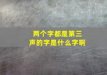 两个字都是第三声的字是什么字啊