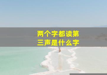 两个字都读第三声是什么字