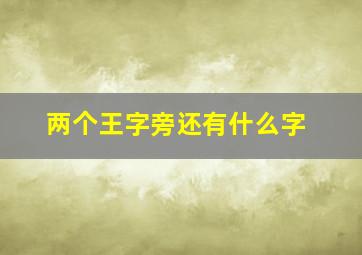 两个王字旁还有什么字