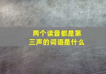 两个读音都是第三声的词语是什么