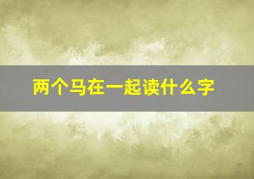 两个马在一起读什么字