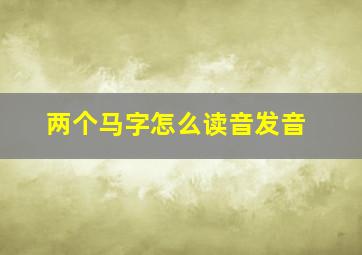 两个马字怎么读音发音