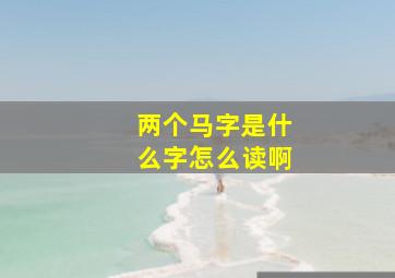 两个马字是什么字怎么读啊