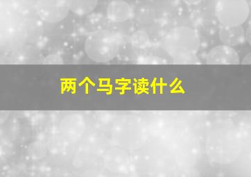 两个马字读什么