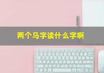 两个马字读什么字啊